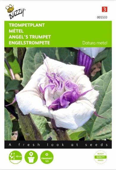 Dature metel Double Purple - 50 seeds